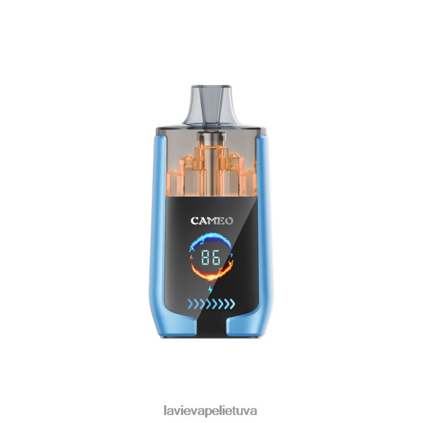 N226RV13 Lavie Vape Lietuva | braškių ledų LAVIE CAMEO 30 000 įkvėpimų