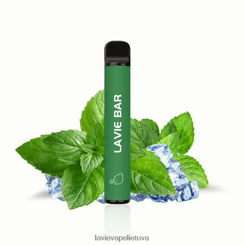 N226RV320 Lavie Vape Reddit | vėsios mėtos LAVIE BAR 2% versija 800 pūtimų